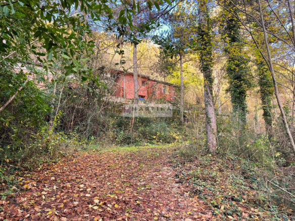 Farmhouse surrounded by nature with land