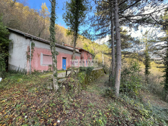 Farmhouse surrounded by nature with land