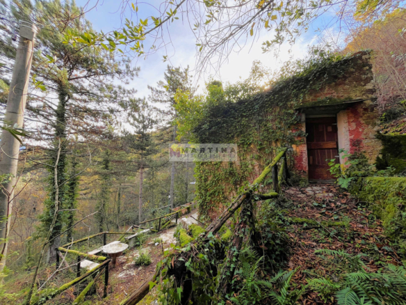 Farmhouse surrounded by nature with land