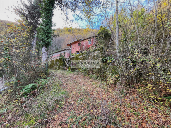 Farmhouse surrounded by nature with land