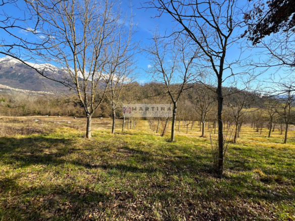 Land in a convenient location