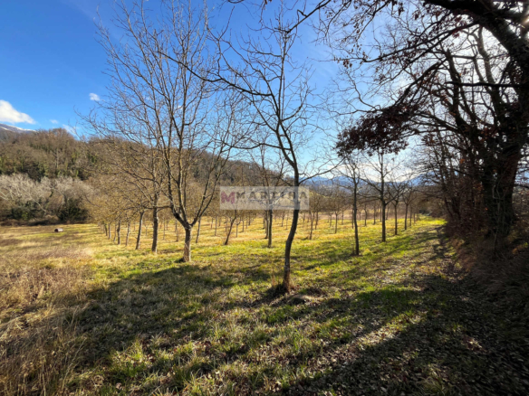 Land in a convenient location