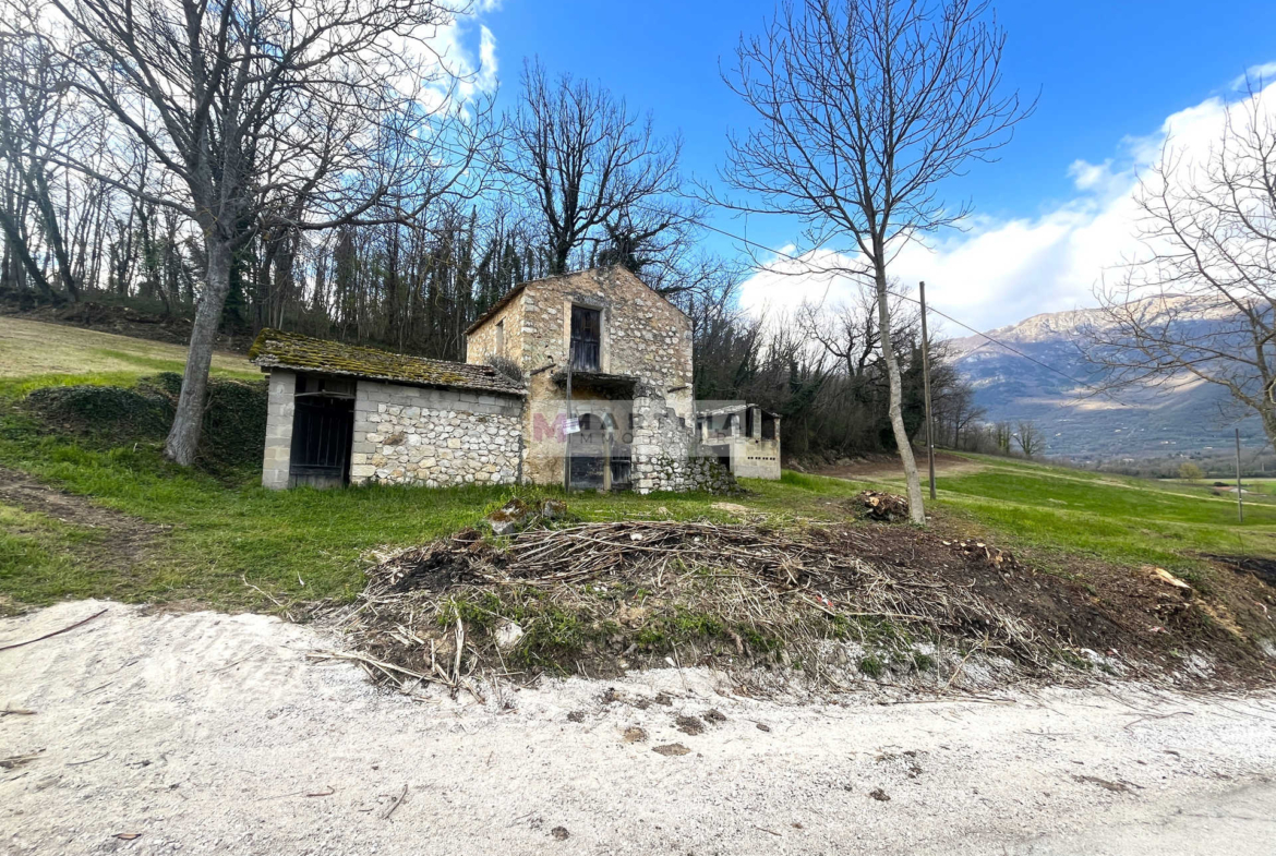 Rudere con un ettaro di terreno