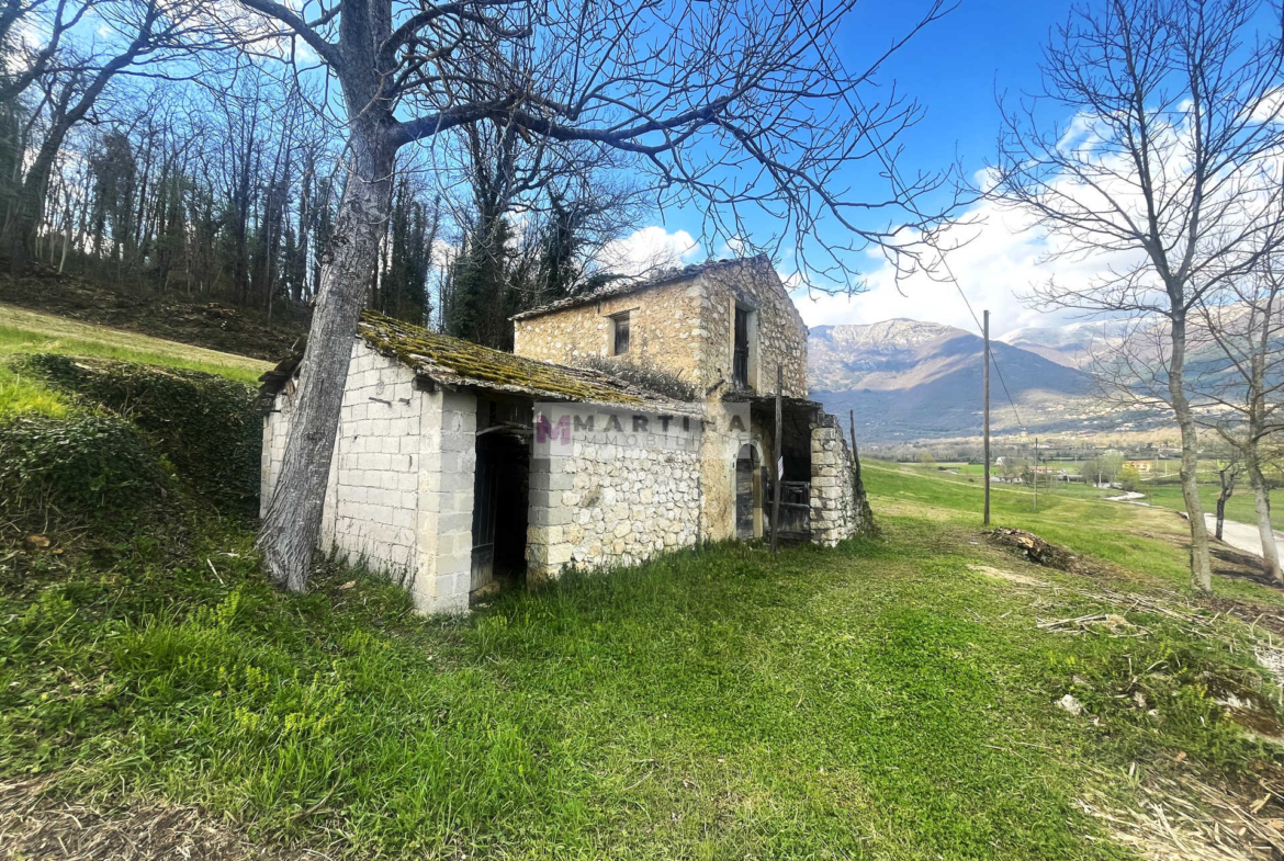 Rudere con un ettaro di terreno