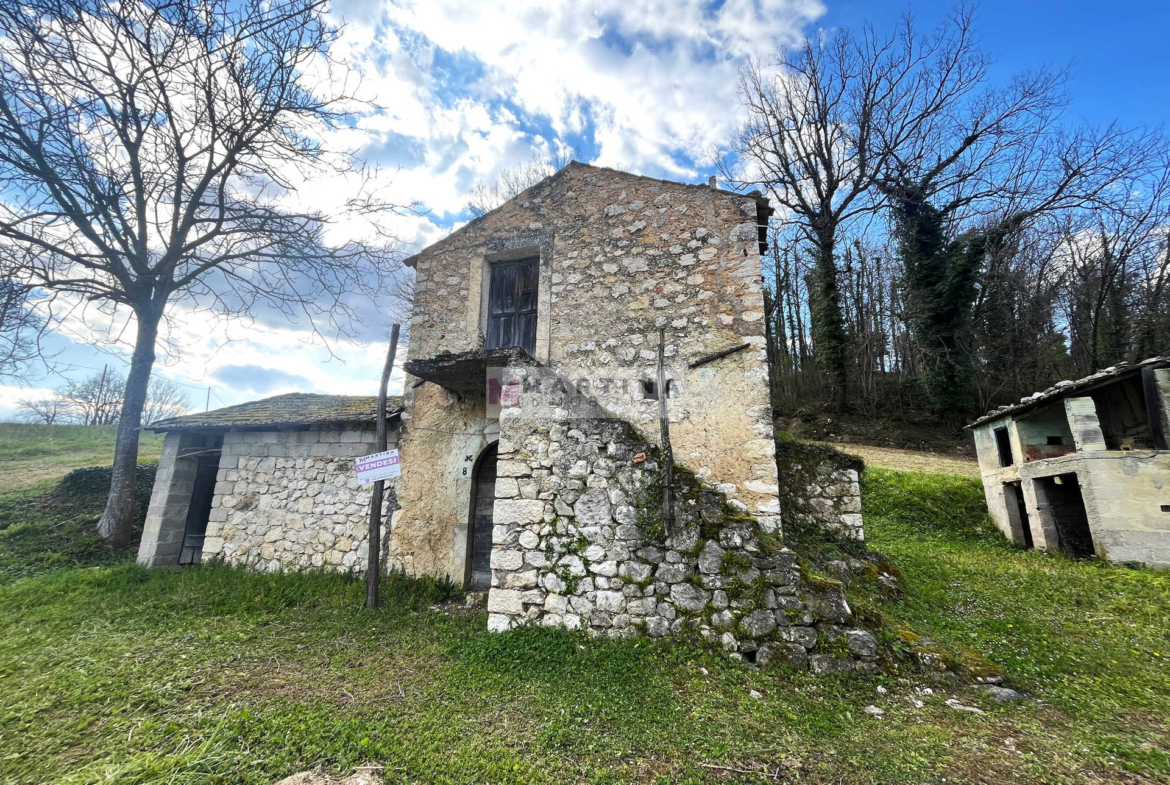 Rudere con un ettaro di terreno
