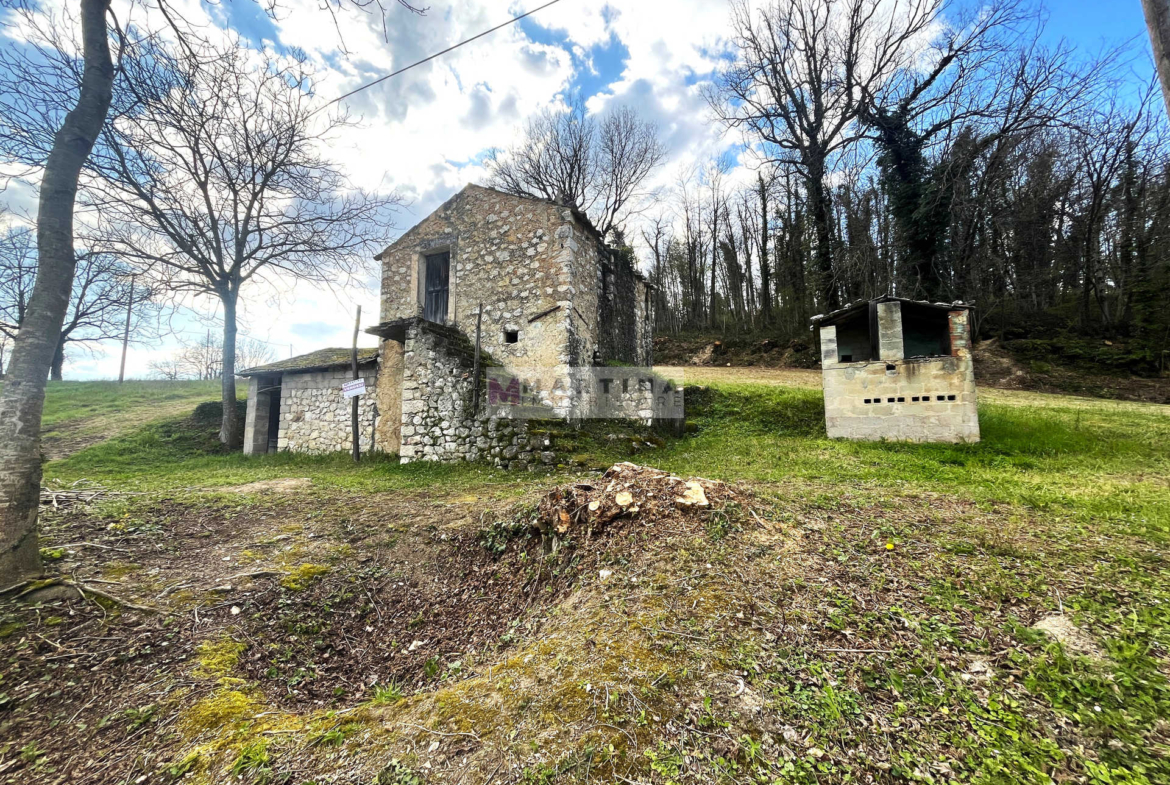 Rudere con un ettaro di terreno