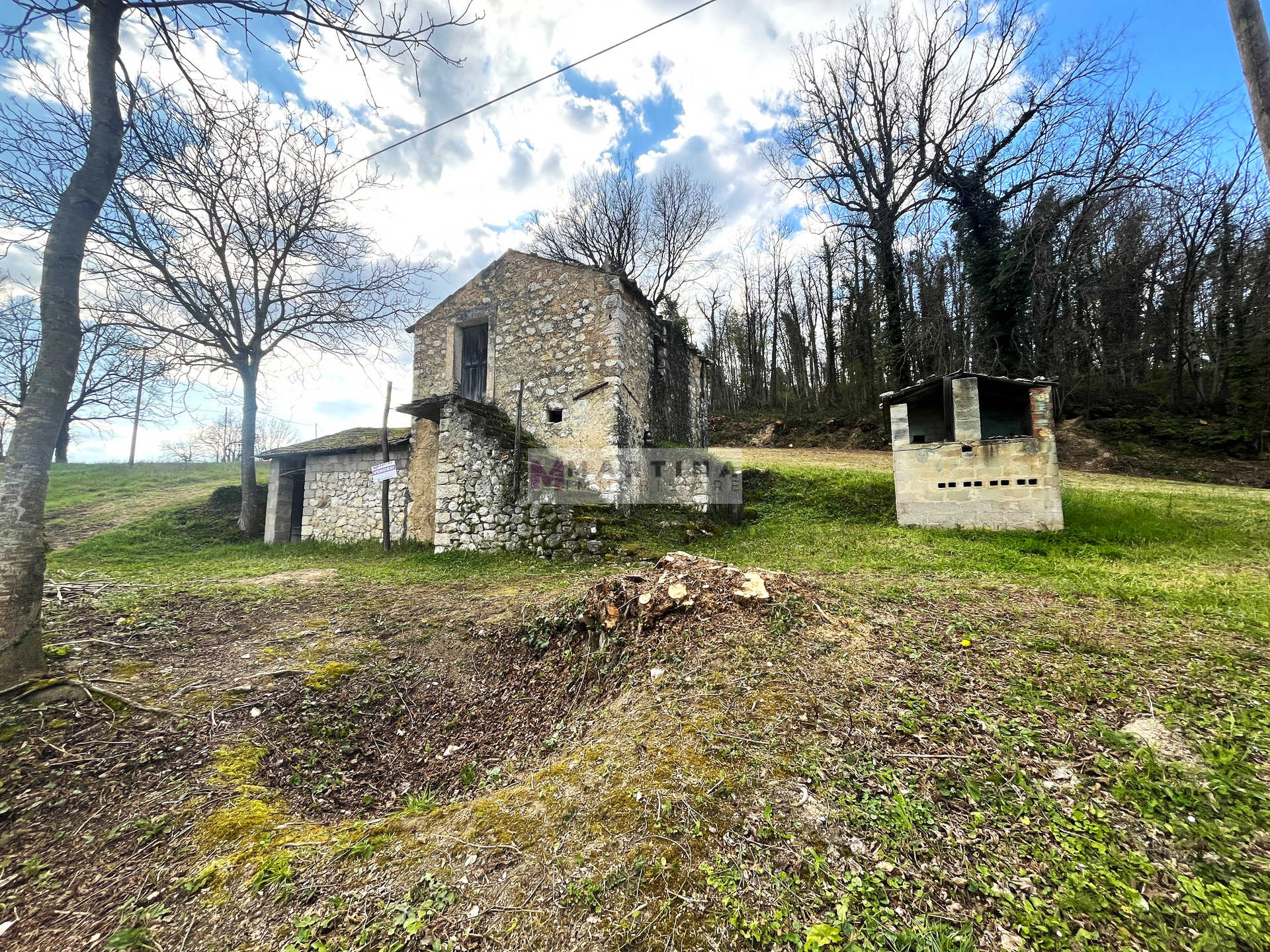 Rudere con un ettaro di terreno
