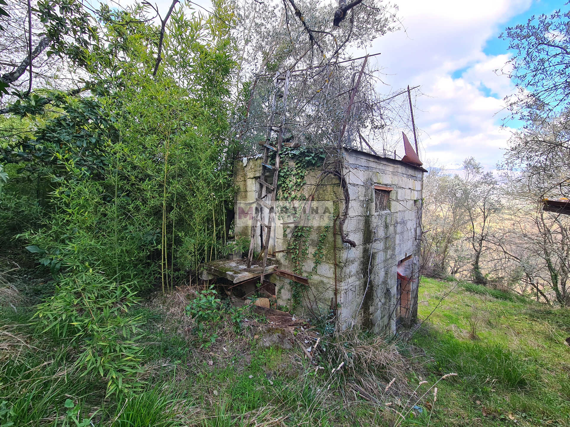 Ampio terreno con fabbricati