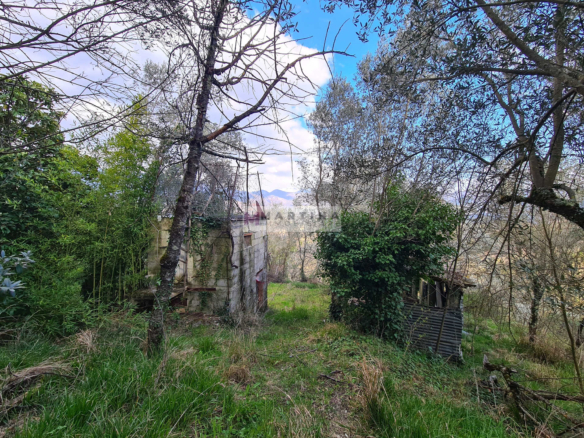 Large land with buildings