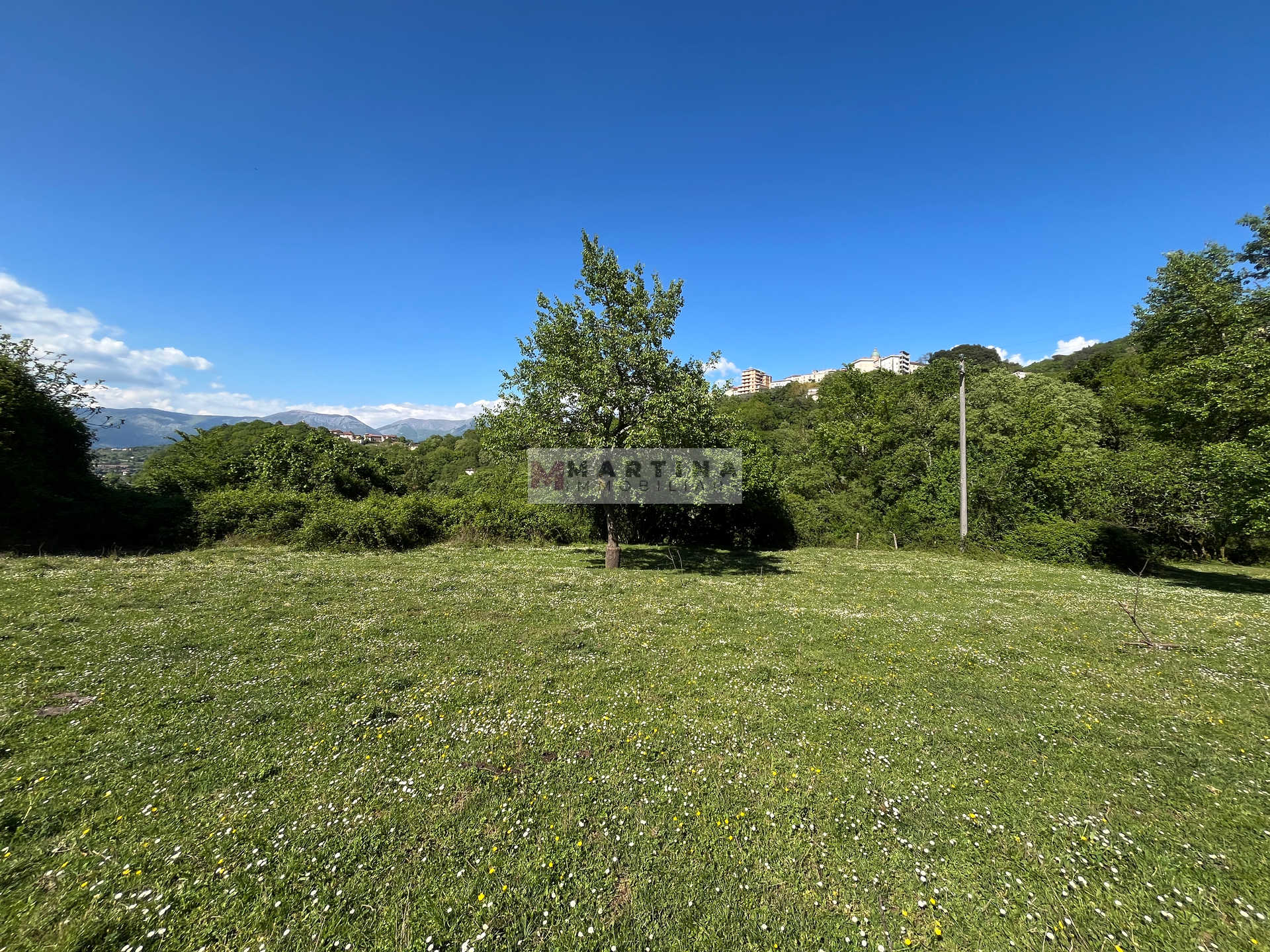 Proprietà con struttura in cemento armato, fabbricati e terreno