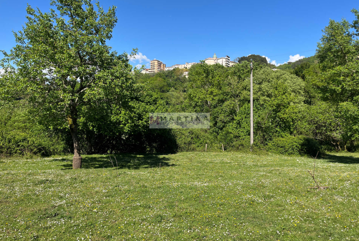 Proprietà con struttura in cemento armato, fabbricati e terreno
