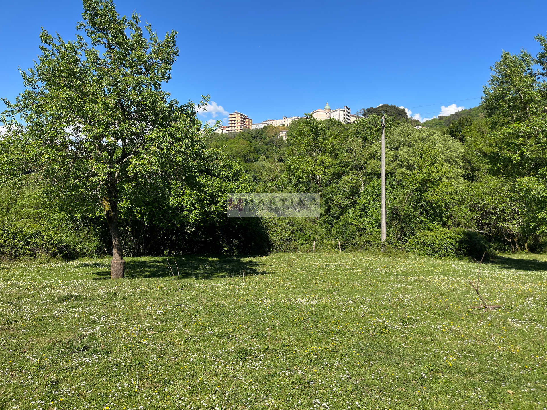 Proprietà con struttura in cemento armato, fabbricati e terreno