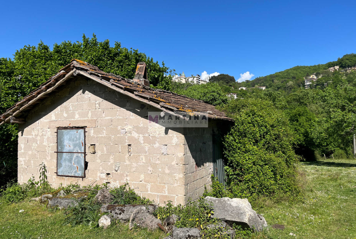 Proprietà con struttura in cemento armato, fabbricati e terreno