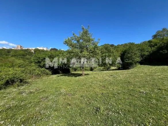 Property with reinforced concrete structure, buildings and land