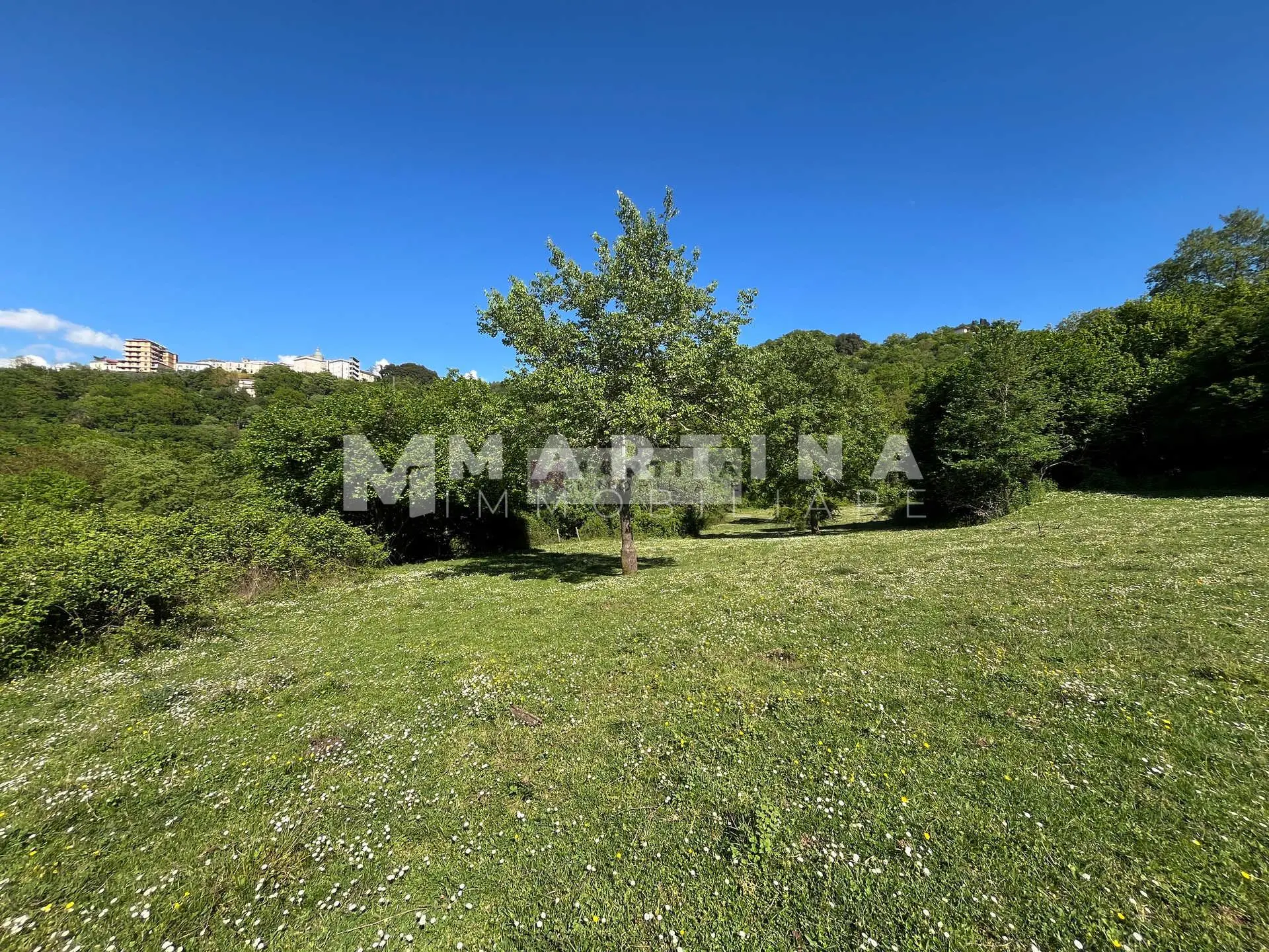 Property with reinforced concrete structure, buildings and land