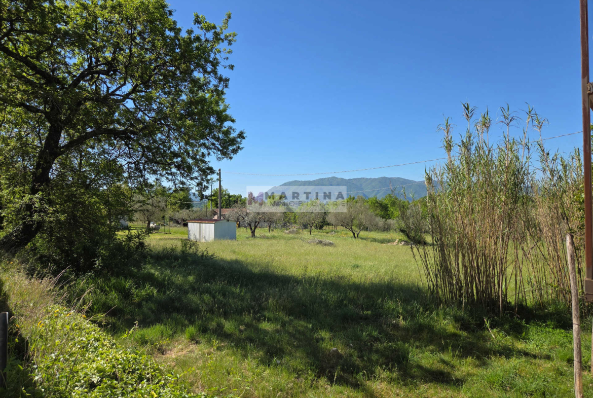 Struttura in cemento armato