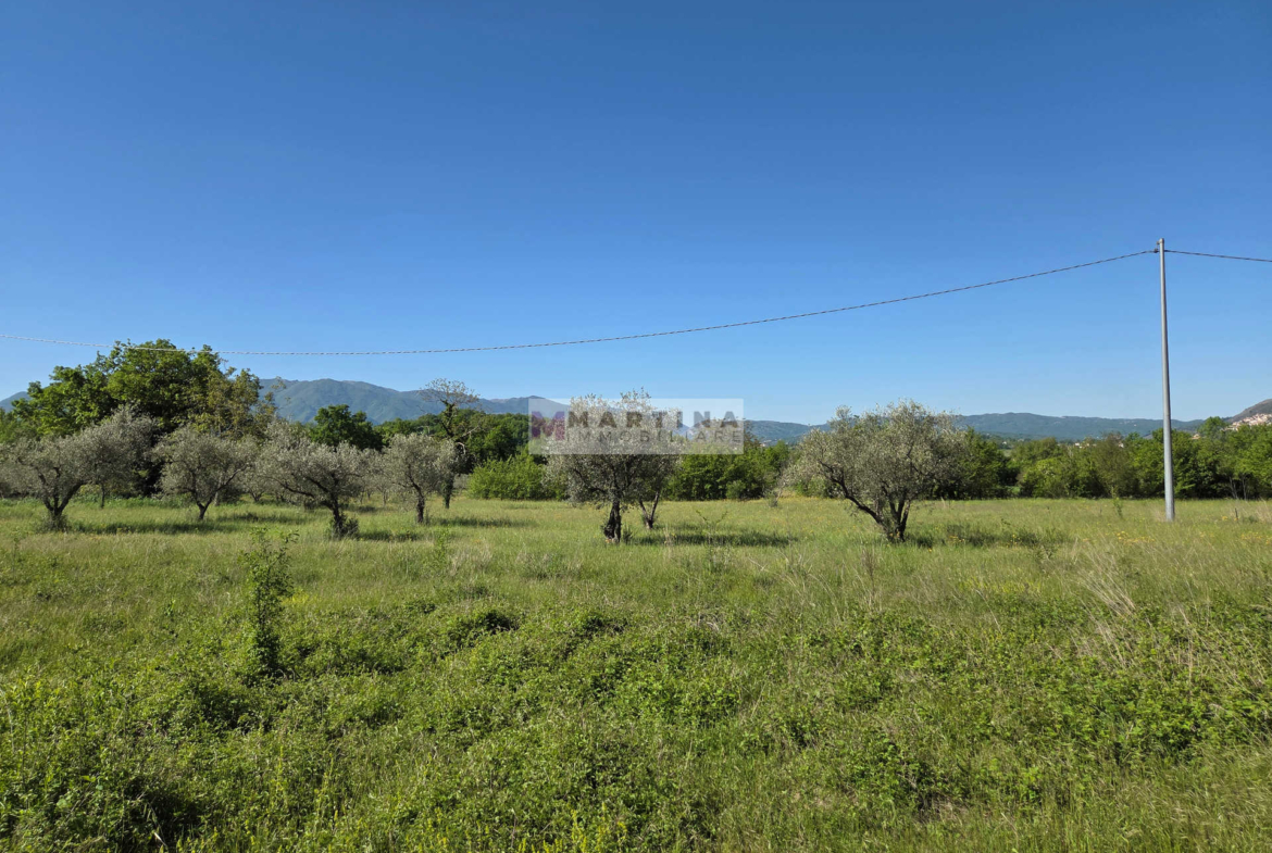 Struttura in cemento armato