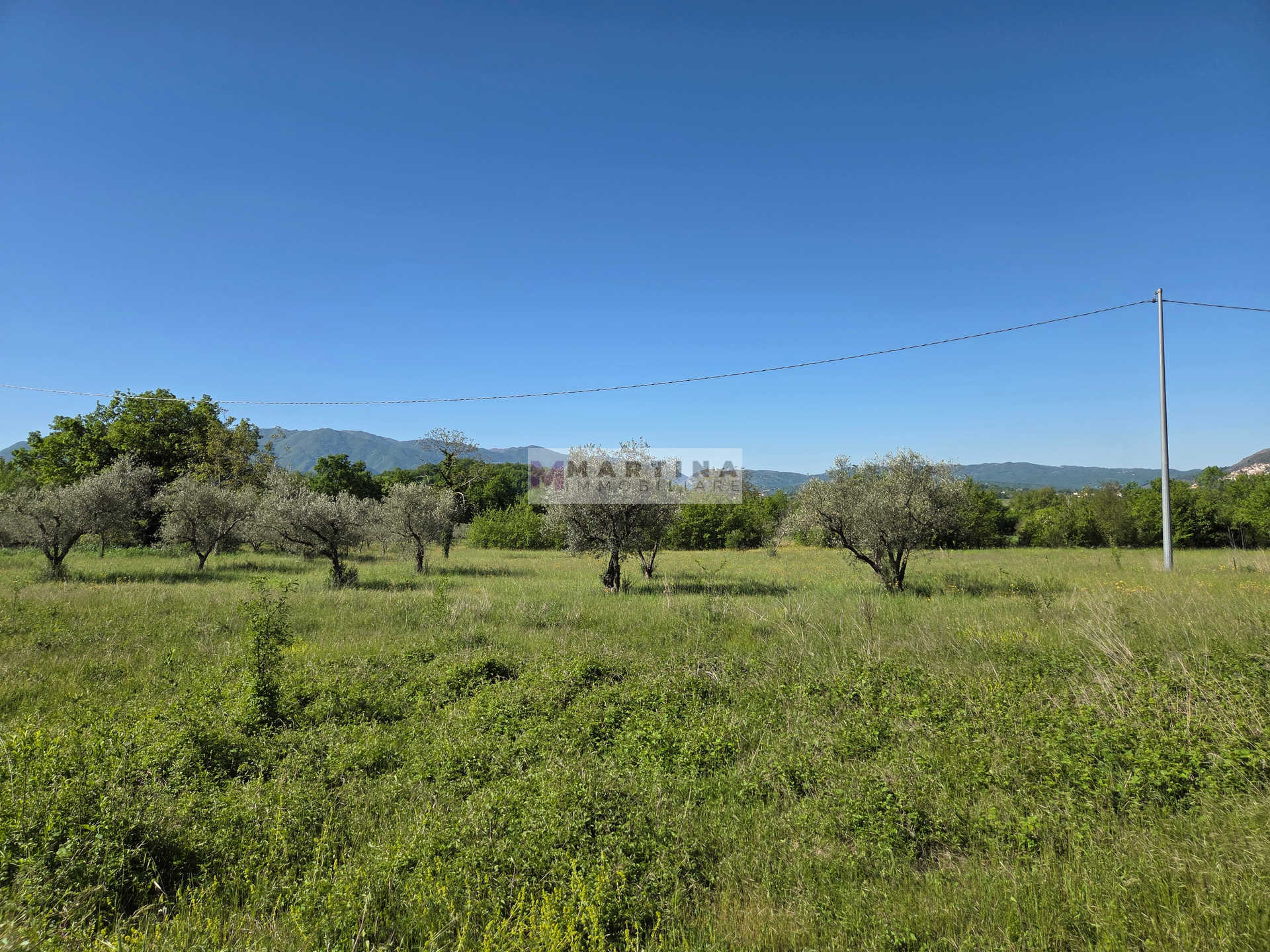 Struttura in cemento armato