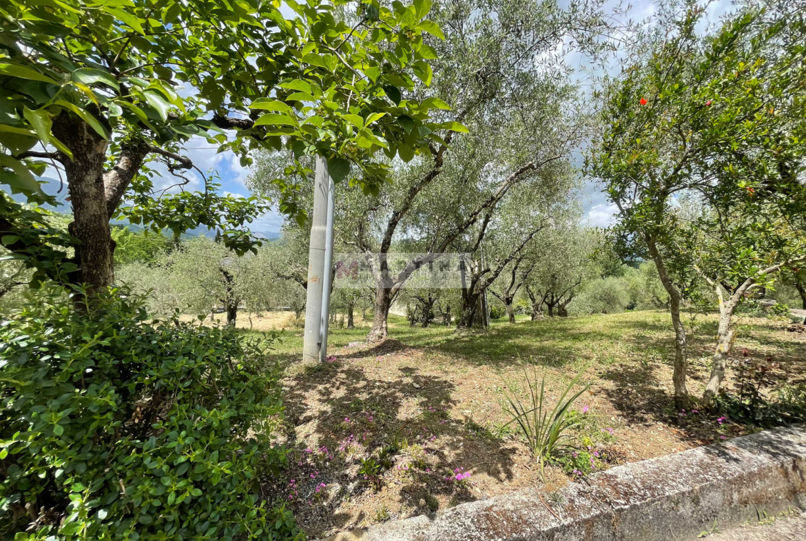 Casa indipendente con garage e terreno