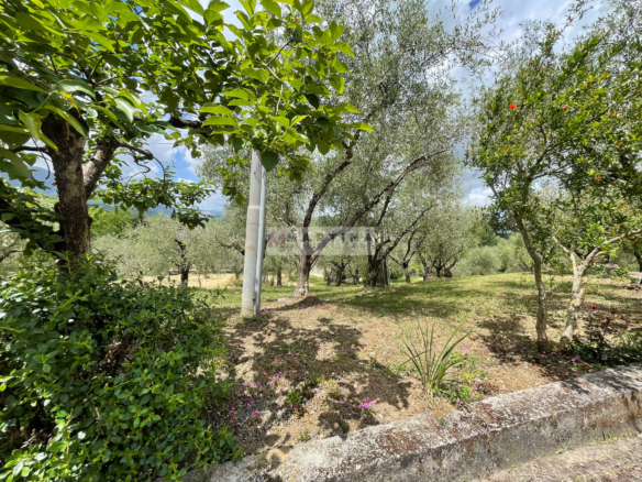 Casa indipendente con garage e terreno