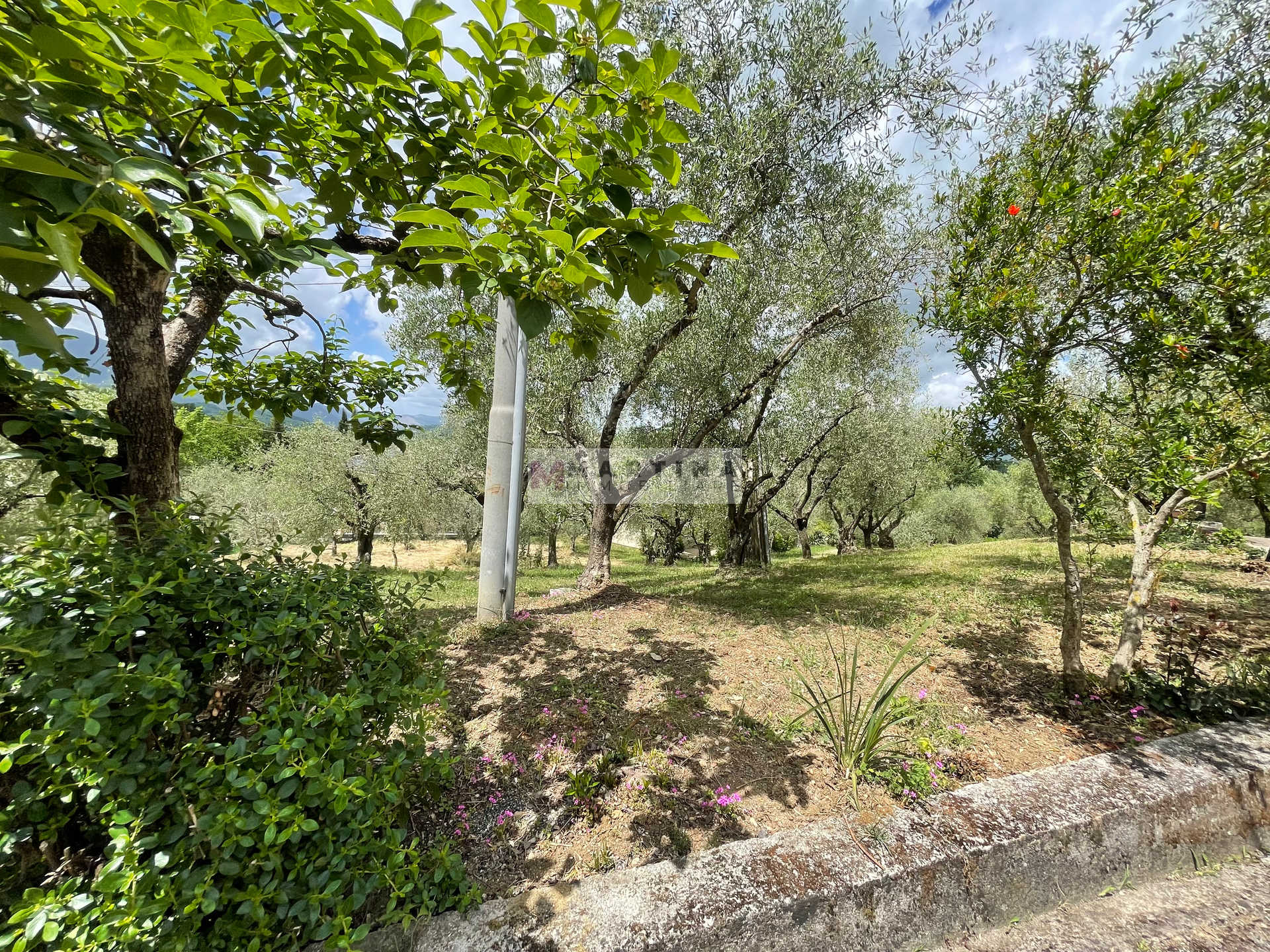Casa indipendente con garage e terreno