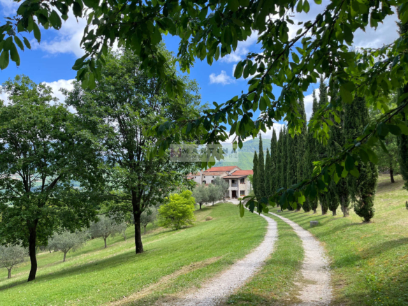 Prestigious panoramic residence