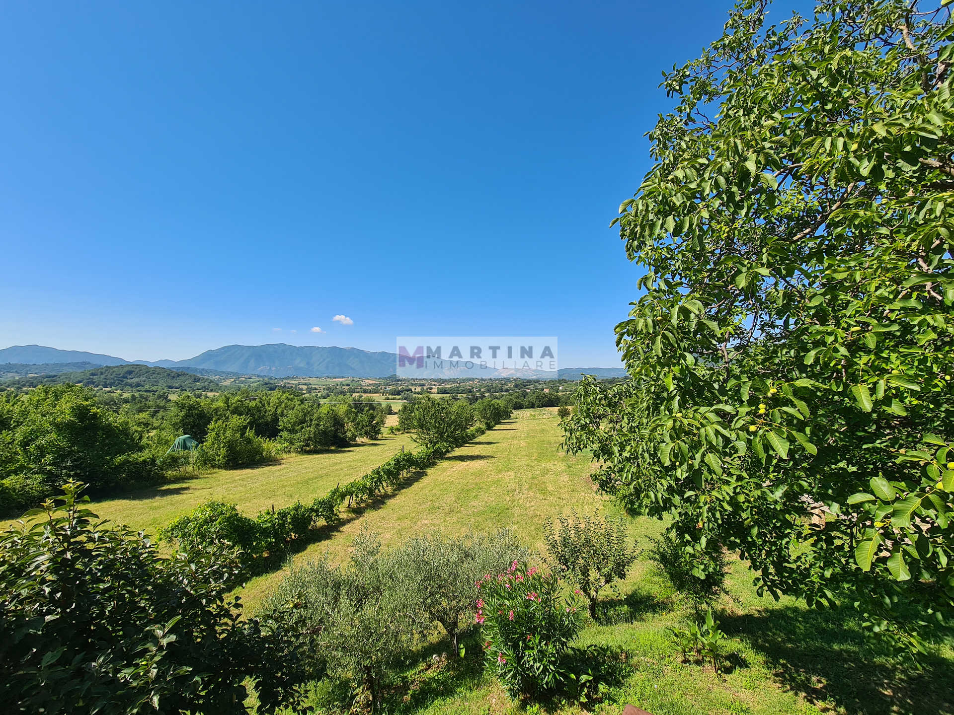 Casale con terreno