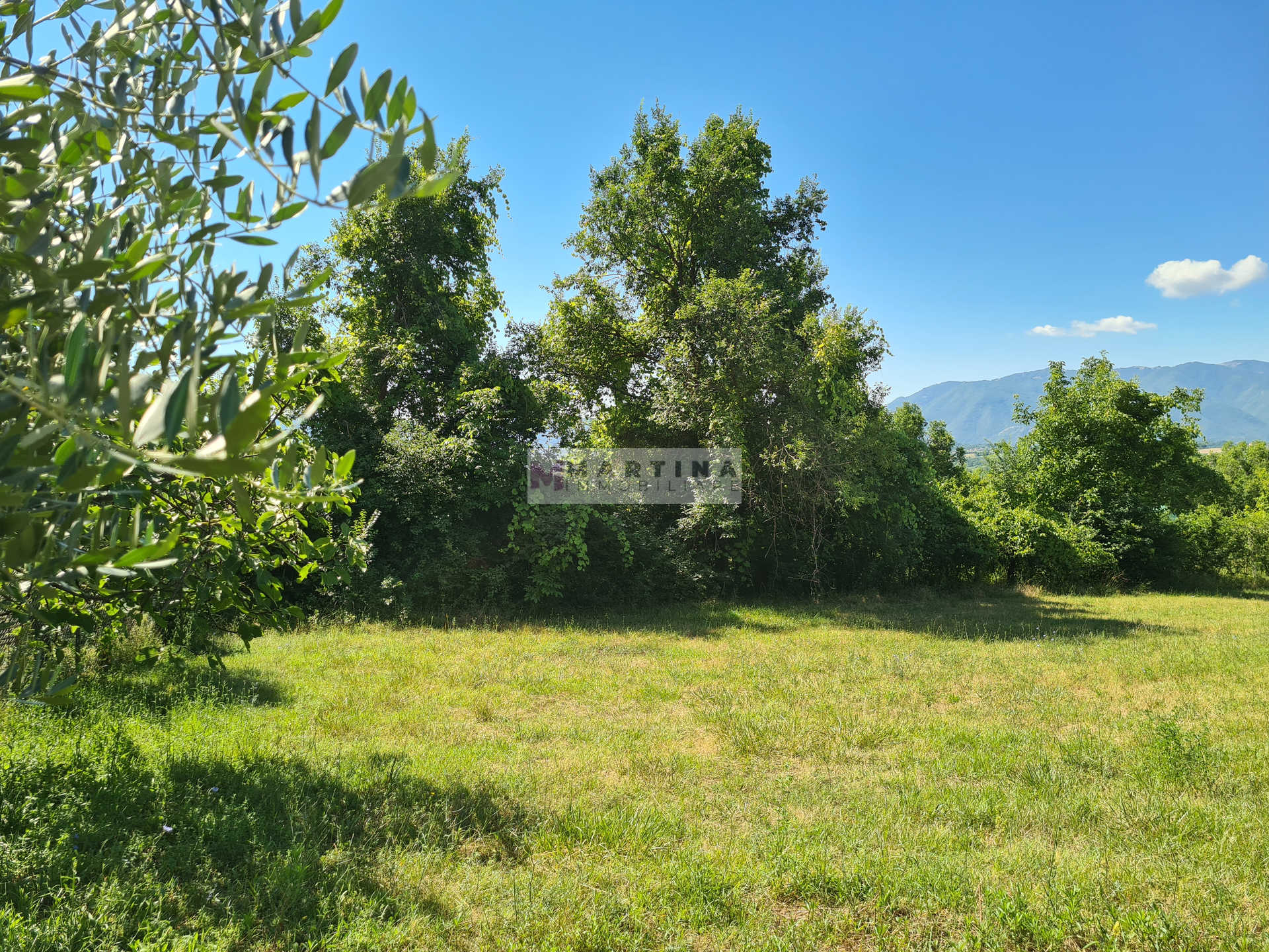 Casale con terreno