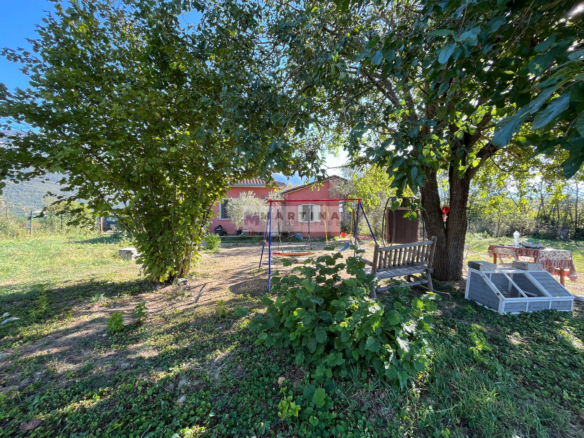Detached house with garden