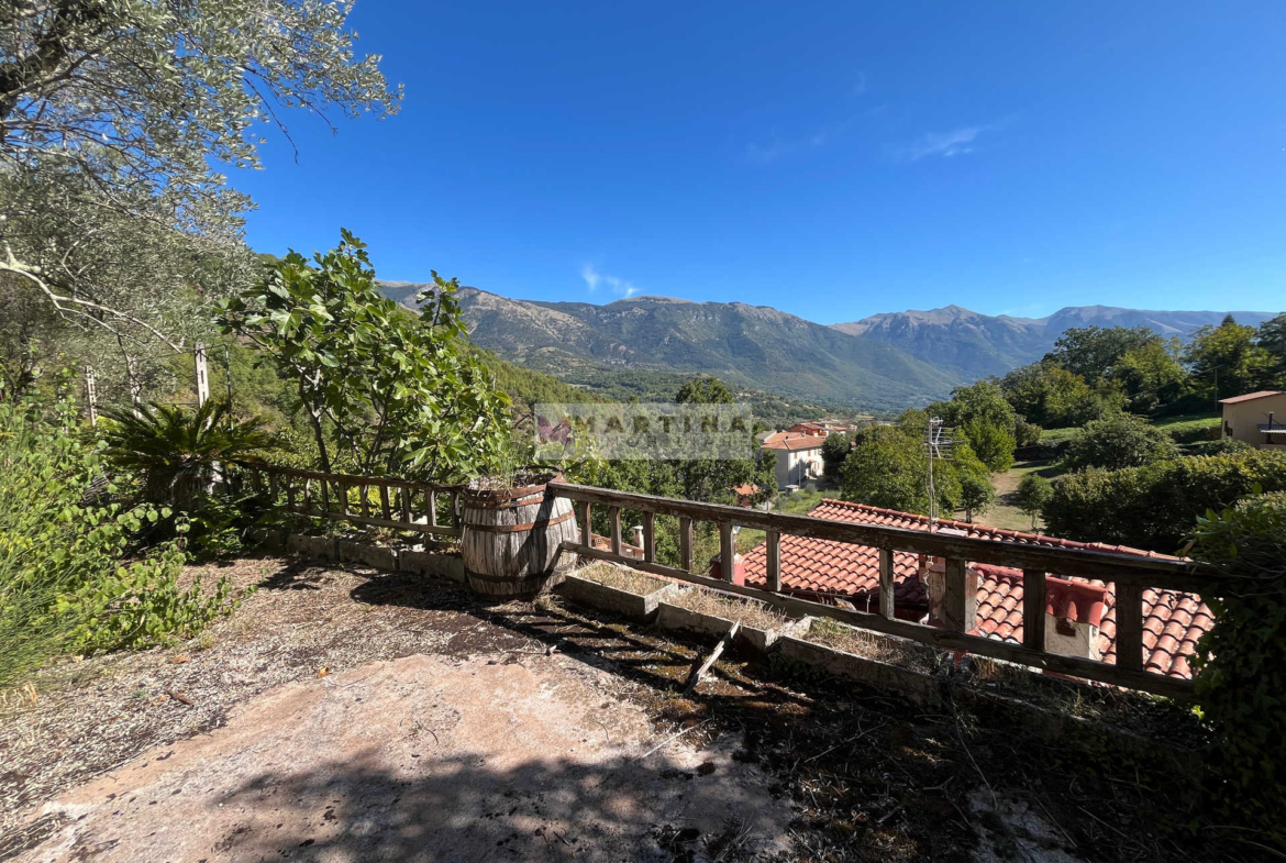 Casa indipendente con terreno