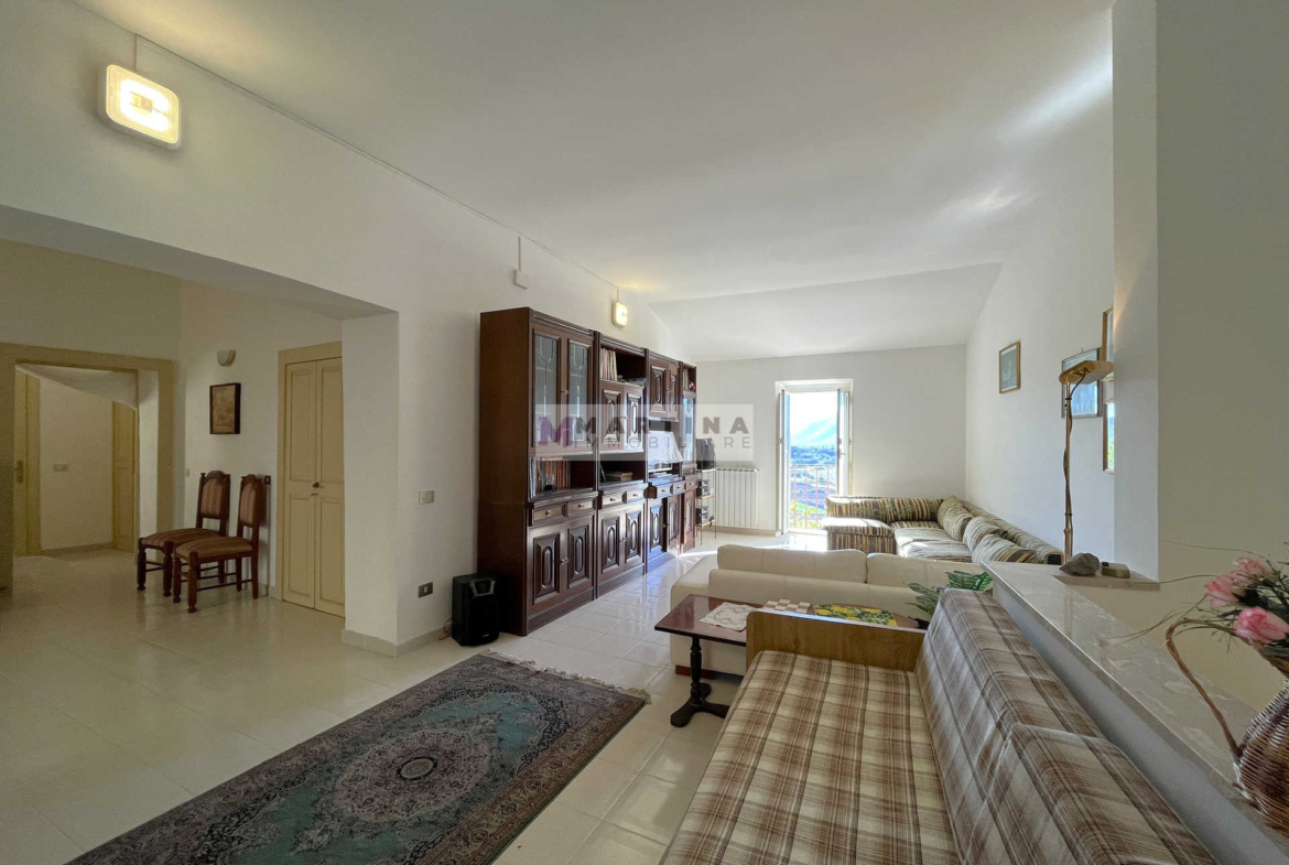 Large apartment with cellars