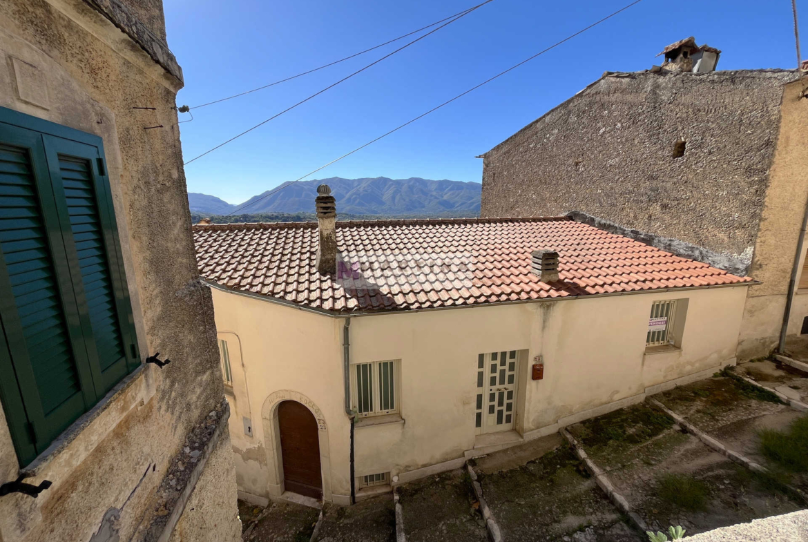 Large apartment with cellars