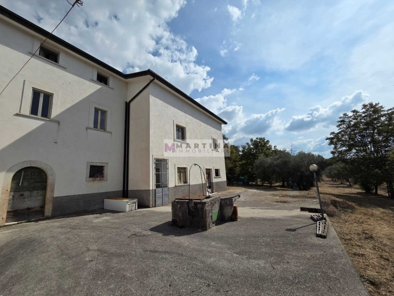 Portion of a farmhouse with olive grove