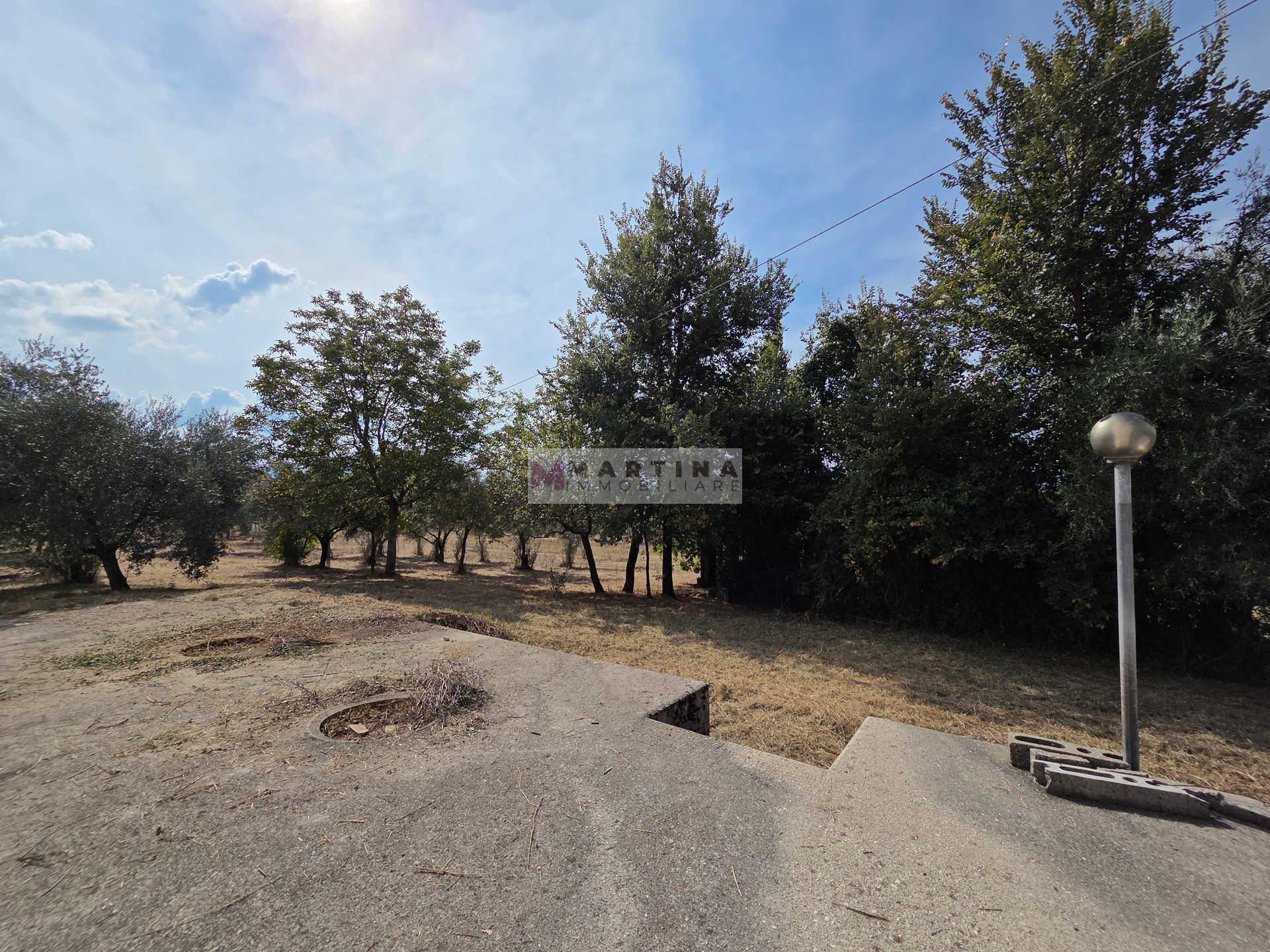 Portion of a farmhouse with olive grove