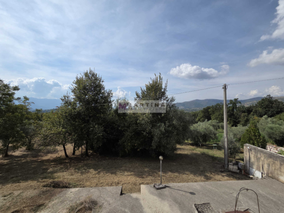 Portion of a farmhouse with olive grove