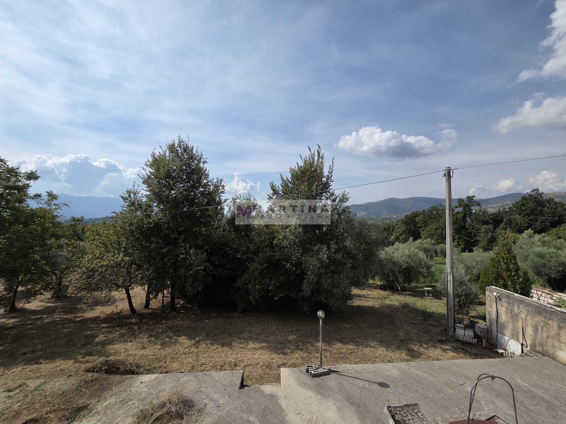 Portion of a farmhouse with olive grove
